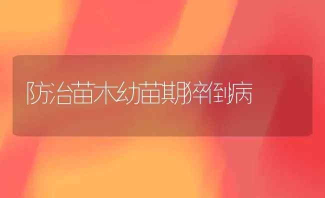 防治苗木幼苗期猝倒病 | 养殖知识