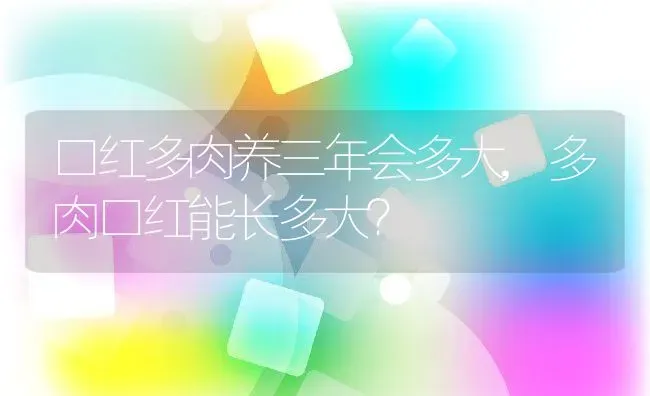 口红多肉养三年会多大,多肉口红能长多大？ | 养殖科普