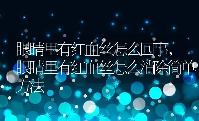 眼睛里有红血丝怎么回事,眼睛里有红血丝怎么消除简单方法 | 养殖资料