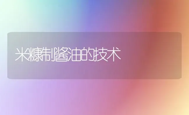 米糠制酱油的技术 | 养殖技术大全