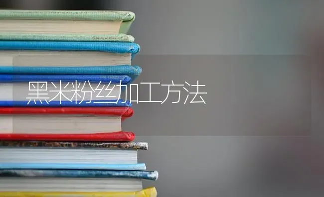 黑米粉丝加工方法 | 养殖技术大全