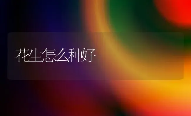 花生怎么种好 | 养殖技术大全