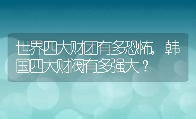 世界四大财团有多恐怖,韩国四大财阀有多强大？ | 养殖科普