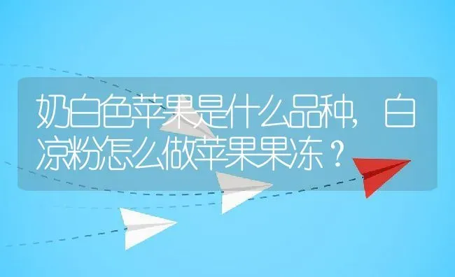 奶白色苹果是什么品种,白凉粉怎么做苹果果冻？ | 养殖科普
