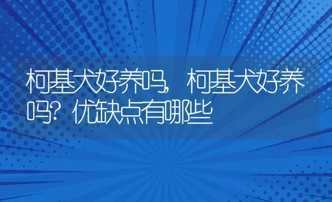 柯基犬好养吗,柯基犬好养吗?优缺点有哪些 | 养殖资料