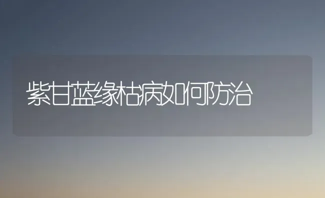 紫甘蓝缘枯病如何防治 | 养殖技术大全