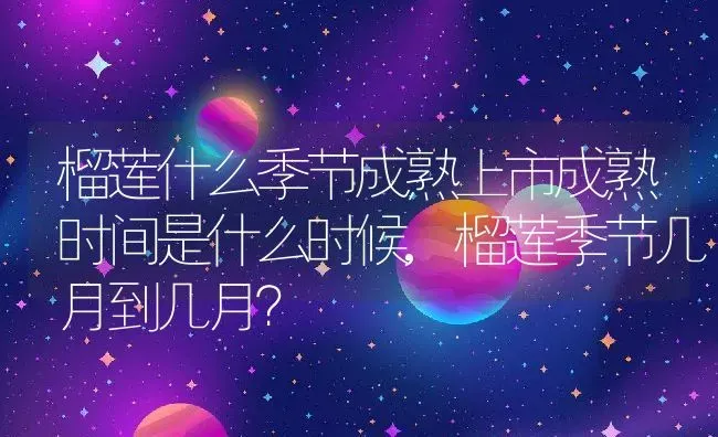 榴莲什么季节成熟上市成熟时间是什么时候,榴莲季节几月到几月？ | 养殖科普