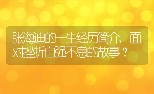 张海迪的一生经历简介,面对挫折自强不息的故事？ | 养殖学堂