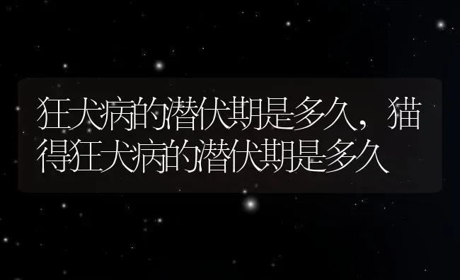 狂犬病的潜伏期是多久,猫得狂犬病的潜伏期是多久 | 养殖科普