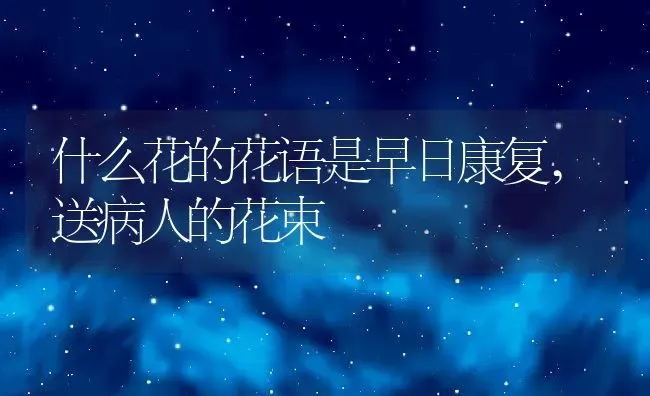 什么花的花语是早日康复,送病人的花束 | 养殖学堂