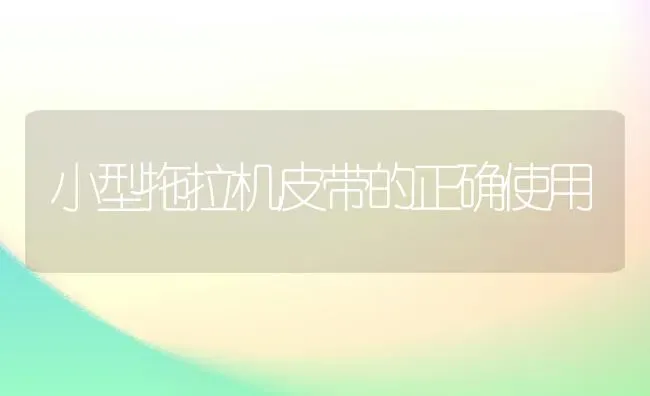 小型拖拉机皮带的正确使用 | 养殖知识