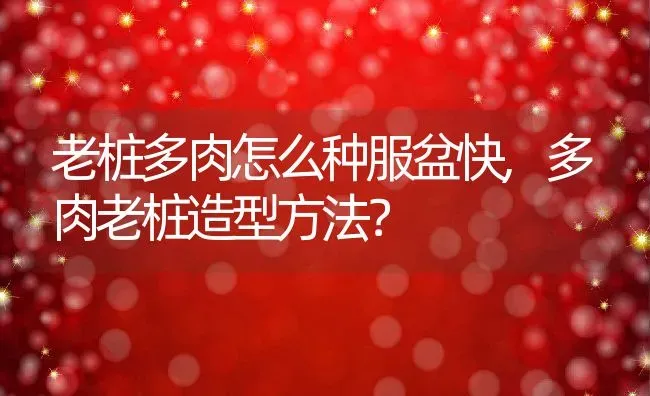 老桩多肉怎么种服盆快,多肉老桩造型方法？ | 养殖学堂