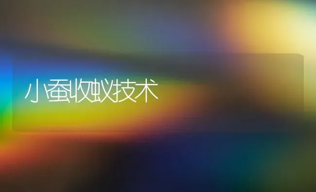 小蚕收蚁技术 | 养殖知识