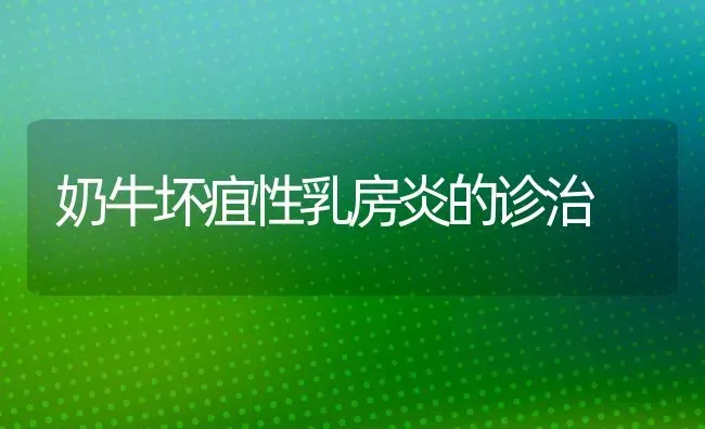 奶牛坏疽性乳房炎的诊治 | 养殖知识