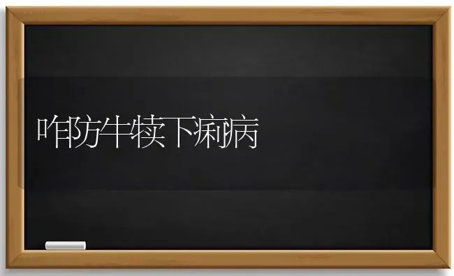 咋防牛犊下痢病 | 养殖知识