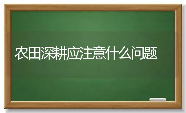 农田深耕应注意什么问题 | 养殖知识