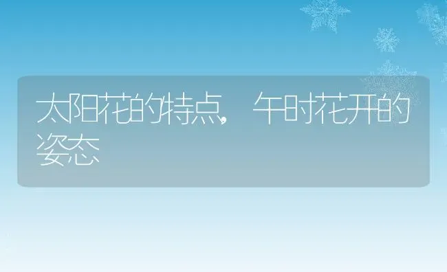 茉莉花的特点,从各种感官描写茉莉花的特点 | 养殖学堂