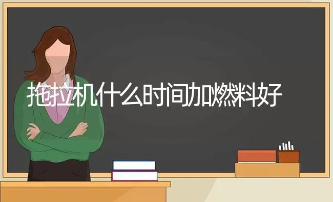 拖拉机什么时间加燃料好 | 养殖技术大全