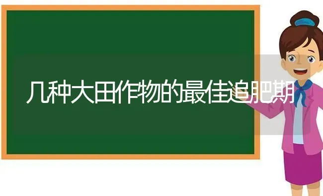 几种大田作物的最佳追肥期 | 养殖知识