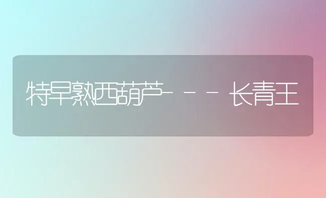 特早熟西葫芦---长青王 | 养殖技术大全