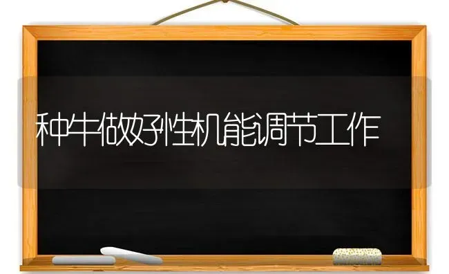 种牛做好性机能调节工作 | 养殖技术大全