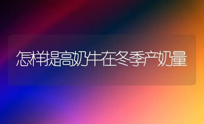 怎样提高奶牛在冬季产奶量 | 养殖技术大全