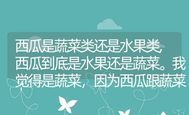 西瓜是蔬菜类还是水果类,西瓜到底是水果还是蔬菜。我觉得是蔬菜，因为西瓜跟蔬菜一样是长在地上的，所以西瓜一般都是种菜的人？ | 养殖科普