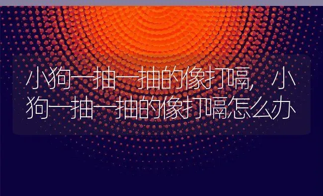 小狗一抽一抽的像打嗝,小狗一抽一抽的像打嗝怎么办 | 养殖科普