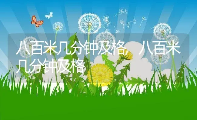 八百米几分钟及格,八百米几分钟及格 | 养殖科普
