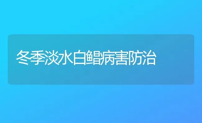 冬季淡水白鲳病害防治 | 养殖知识