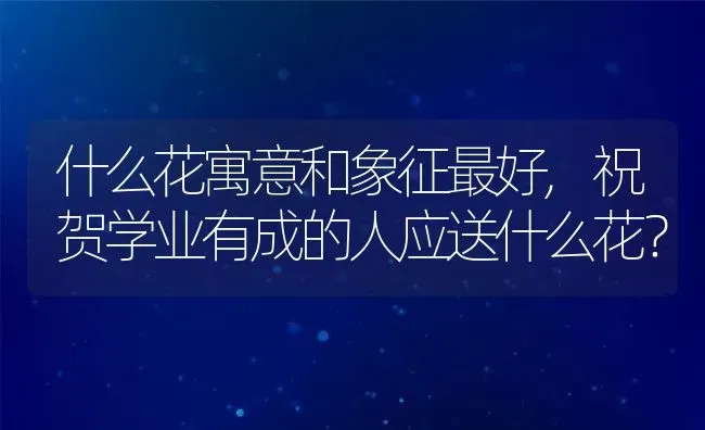 什么花寓意和象征最好,祝贺学业有成的人应送什么花？ | 养殖科普