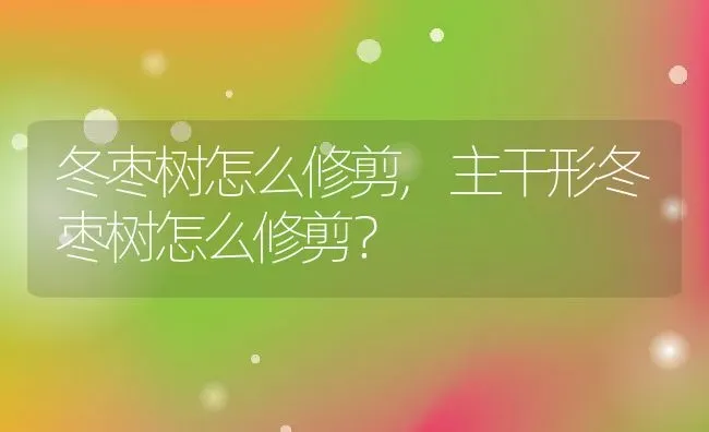 冬枣树怎么修剪,主干形冬枣树怎么修剪？ | 养殖科普