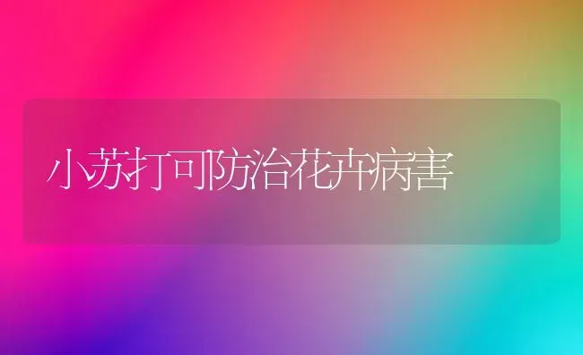 小苏打可防治花卉病害 | 养殖技术大全