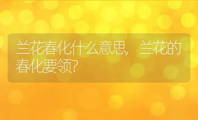 兰花春化什么意思,兰花的春化要领？ | 养殖科普