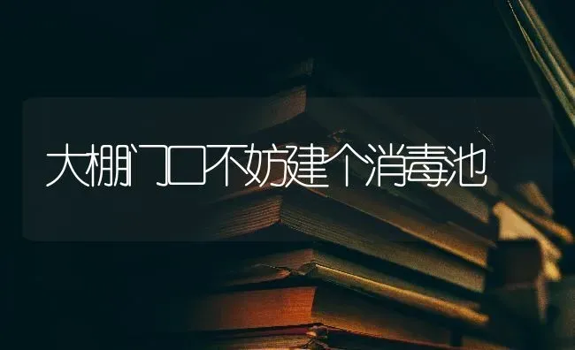 大棚门口不妨建个消毒池 | 养殖知识