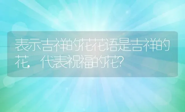 表示吉祥的花花语是吉祥的花,代表祝福的花？ | 养殖科普