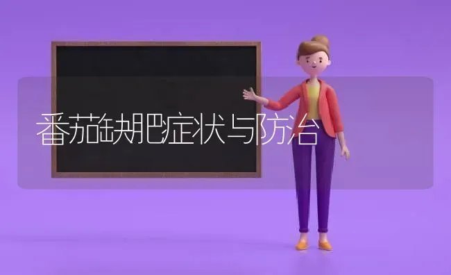 番茄缺肥症状与防治 | 养殖知识