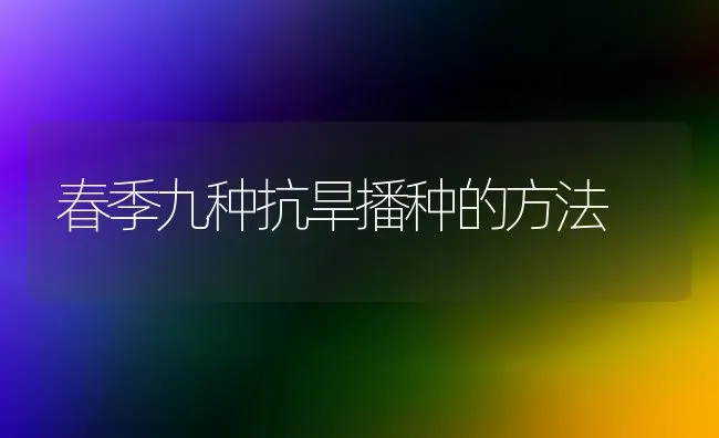 春季九种抗旱播种的方法 | 养殖技术大全