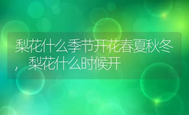 梨花什么季节开花春夏秋冬,梨花什么时候开 | 养殖学堂