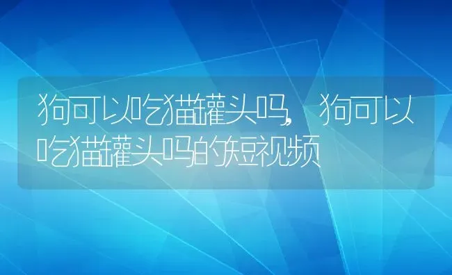 狗可以吃猫罐头吗,狗可以吃猫罐头吗的短视频 | 养殖资料