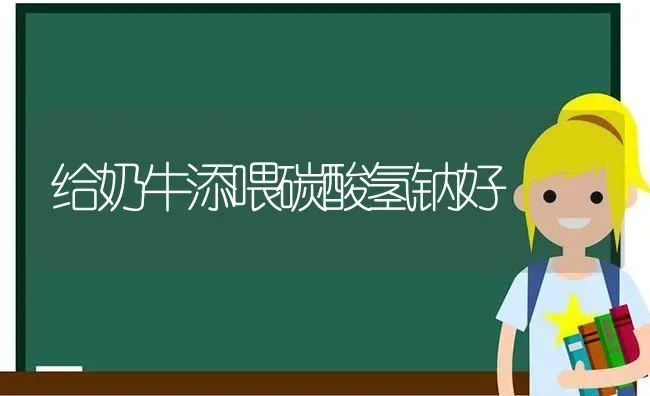 给奶牛添喂碳酸氢钠好 | 养殖技术大全