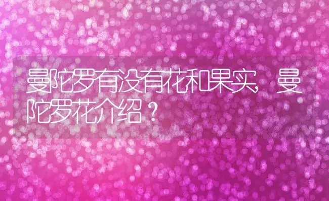 曼陀罗有没有花和果实,曼陀罗花介绍？ | 养殖科普