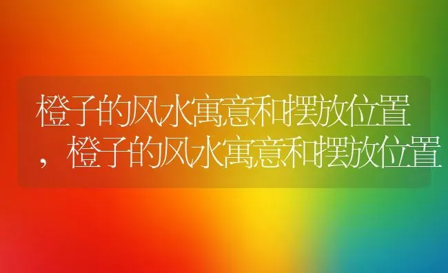 橙子的风水寓意和摆放位置,橙子的风水寓意和摆放位置 | 养殖科普