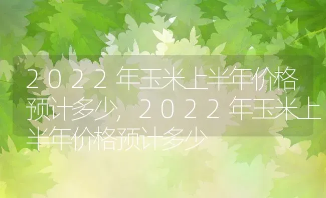 2022年玉米上半年价格预计多少,2022年玉米上半年价格预计多少 | 养殖科普