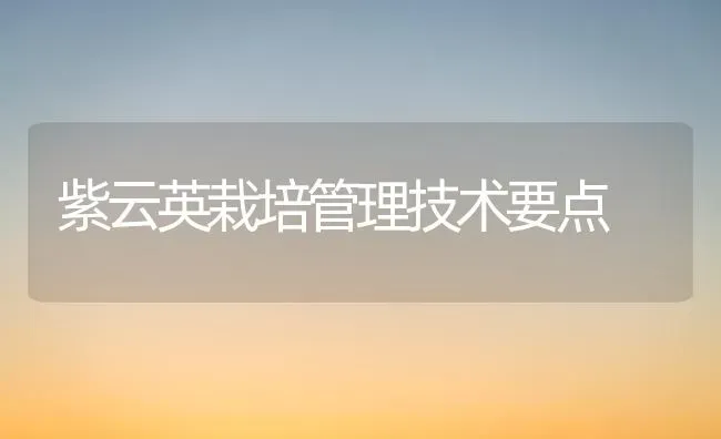 紫云英栽培管理技术要点 | 养殖知识