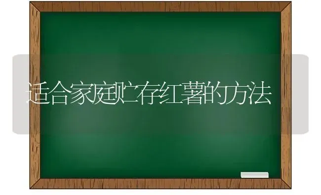 适合家庭贮存红薯的方法 | 养殖知识