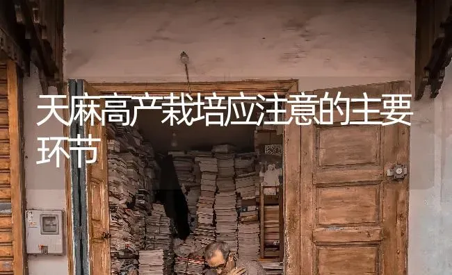 天麻高产栽培应注意的主要环节 | 养殖技术大全