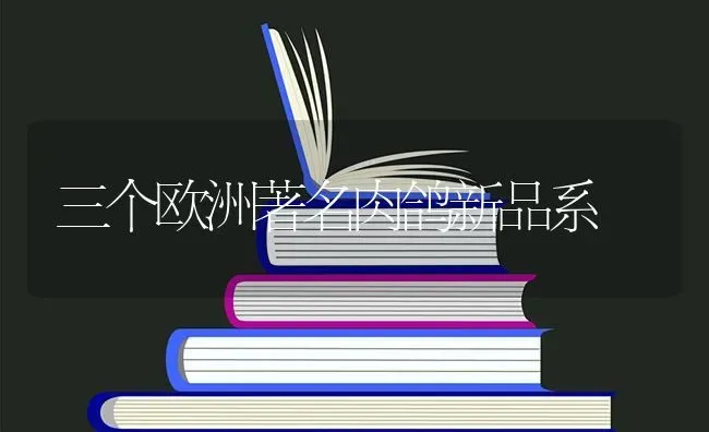 三个欧洲著名肉鸽新品系 | 养殖技术大全