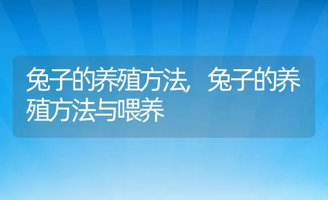 兔子的养殖方法,兔子的养殖方法与喂养 | 养殖科普