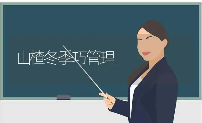 山楂冬季巧管理 | 养殖技术大全